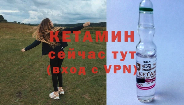 ПСИЛОЦИБИНОВЫЕ ГРИБЫ Абаза