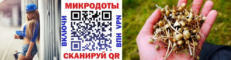 Псилоцибиновые грибы Cubensis Яблоновский