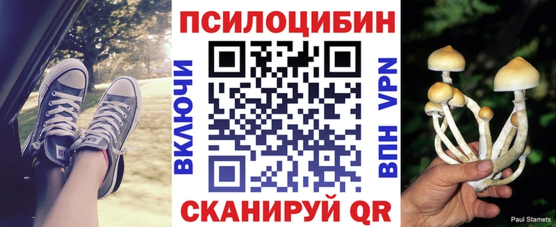 Псилоцибиновые грибы Cubensis  Яблоновский 